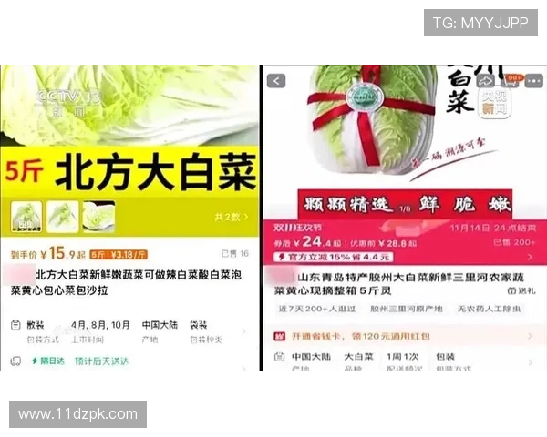 2025年最新白菜价格多少钱一斤?市场行情分析